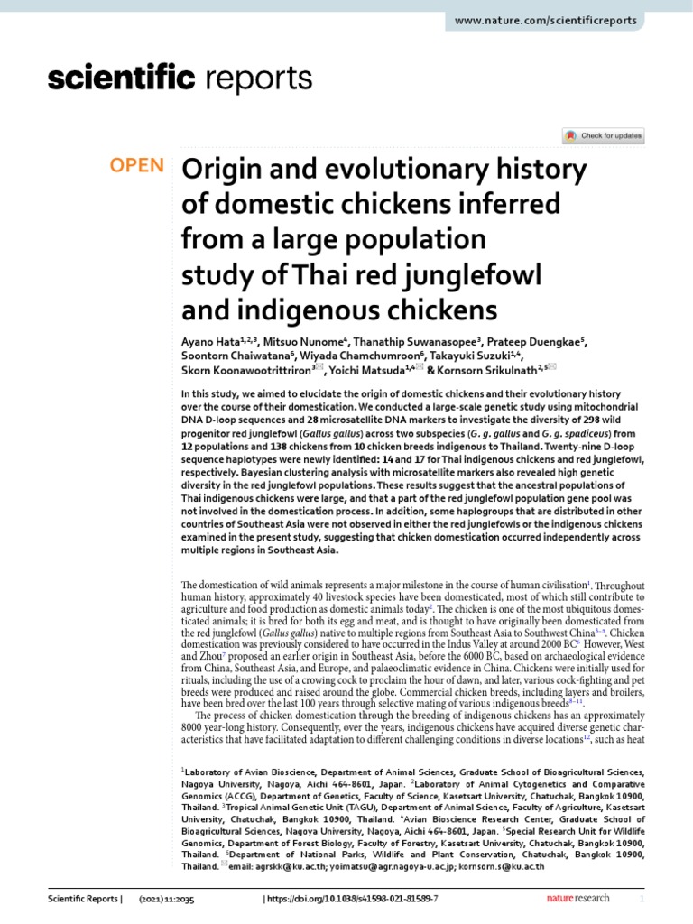 Origin and Evolutionary History of Domestic Chickens Inferred From A