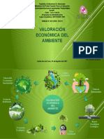 (Unidad II) (Mapa Mental) Valoraciòn Economìca Del Ambiente