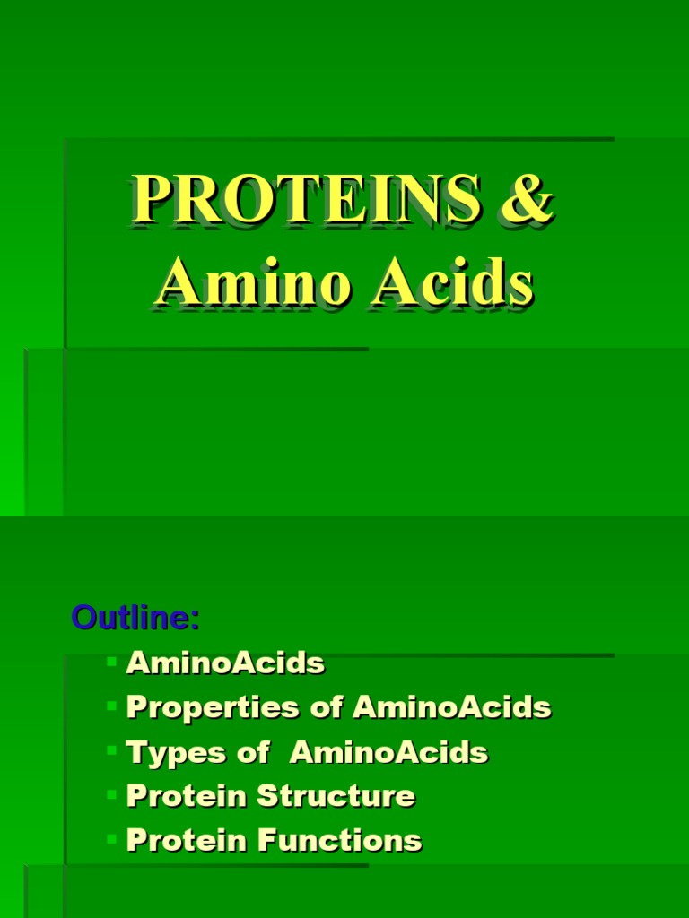 Understanding Proteins and Amino Acids | PDF | Amino Acid | Beta Sheet