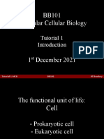 BB101 Molecular Cellular Biology: Tutorial 1