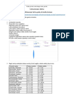 Lab. D. Glaudžiamuoju Lęšiu Gautų Atvaizdų Ty