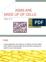 Organisms Are Made Up of Cells: Pages 16-17