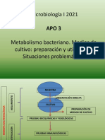 Metabolismo APO3 - 2021