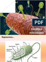 APO 5. Genética Microbiana