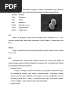 Download Staphylococcus Epidermidis by Prima Santi SN54694515 doc pdf