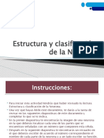 Estructura - y - Clasificación - de - La - Neurona 11