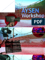 Workshop Aysen