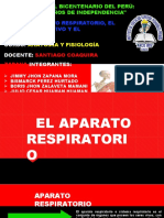 G13 - EL APARATO RESPIRATORIO, EL APARATO DIGESTIVO Y EL METABOLISMO (Grupo 13)