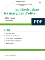 Valaorisation Des Polyphenols Des Margines D'huile D'olive (Autosaved)