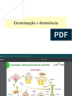 germinacao-e-dormencia