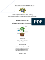 PERDIDA DE AGUA EN LAS PLANTAS documento (1)