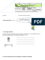 Evaluacion Noveno