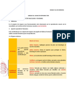 Anatomia Ficha Nº23 23 Noviembre 5to Sec