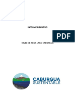 Informe Caburgua Sustentable 