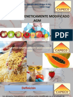 4-ALIMENTOS-GENETICAMENTE-MODIFICADO (1)