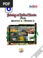 Grade 6 Ia Tlemodule5