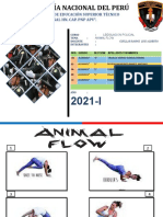 Animal Flow