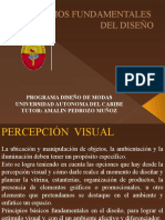 Percepción Visual