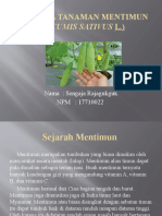 Budidaya Tanaman Mentimun (Cucumis Sativus L.) : Nama: Sengaja Rajagukguk NPM: 17710022