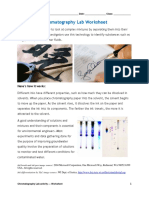Chromatography Lab Worksheet: Here's How It Works