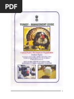 Download Turkey Farming Guide by qfarms SN54703720 doc pdf