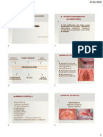 Lesoes Fundamentais