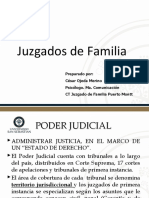 Modulo I Juzgados de Familia