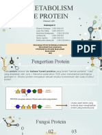 Metabolisme Protein Klp 2 Edt