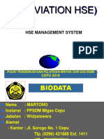 Hse Aviation Hse Managemen System