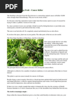 Download Graviola Soursop Fruit  CANCER KILLER by Gregory Kalona SN54707000 doc pdf