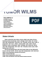 Tumor Wilms Kel 2