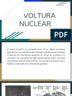 Envoltura Nuclear