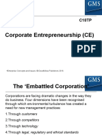 FileEnt Con & Iss Chapter 6 Corporate Entrepreneurship
