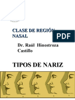 Región nasal: estructuras y funciones