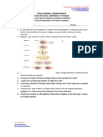 Acciones de Seguimiento Séptimo