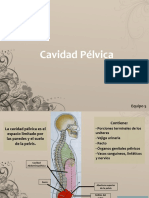 Cavidad Pelvica