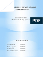 LEPTOSPIROSIS