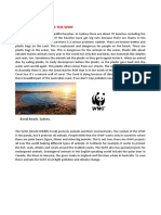 Beach Pollution and The WWF: Inglese