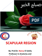 5-scapular region
