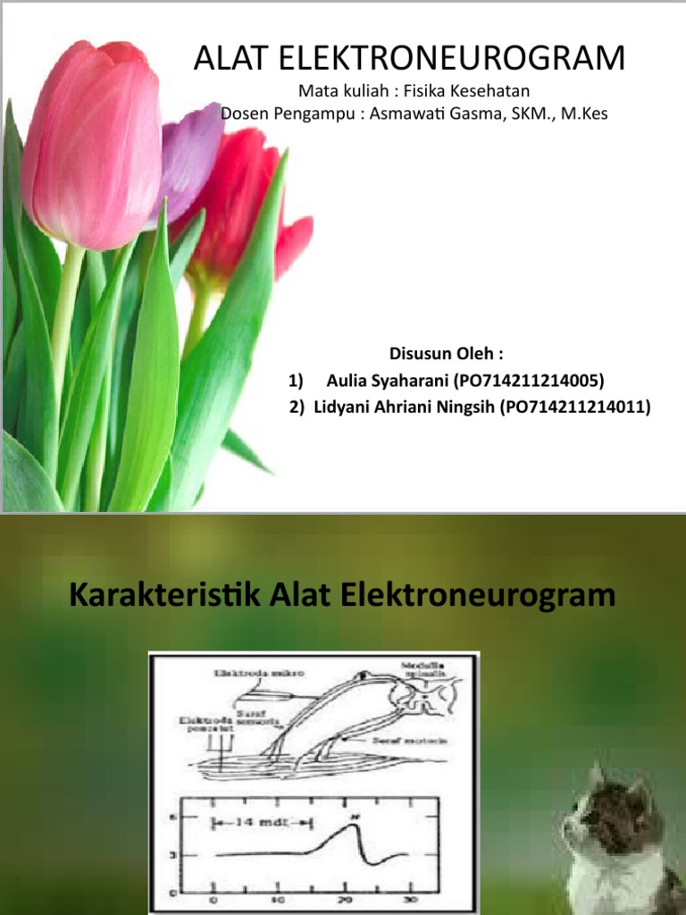 Alat Elektroneurogram | PDF