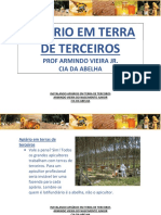 Apiario em Terra de Terceiros