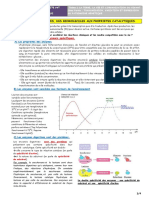 Cours Thème 1 Chapitre 5 Les Enzymes, Des Molécules Aux Propriétés Catalytiques