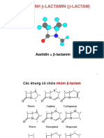 Betalactam I DH Janvier 2021 SV