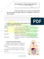 B.1.3 - Ficha de Trabalho - Sistema Digestivo