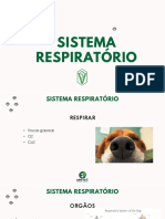 Sist Respiratorio - Animais