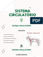 sistema circulatorio - animais domesticos 01