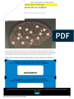 Razón Y Pasión - Historia de Un Conflicto Filosófico