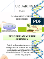 Bambang Belantoro Ppt-Kultur-Jaringan