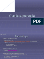 Glanda Suprarenal Ã