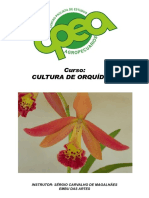 Curso Cultura de Orquídeas